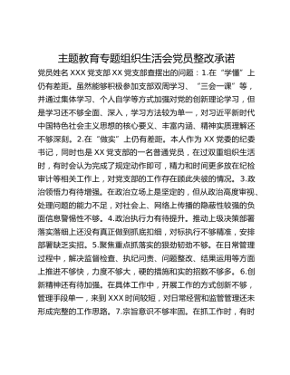 主题教育专题组织生活会党员整改承诺