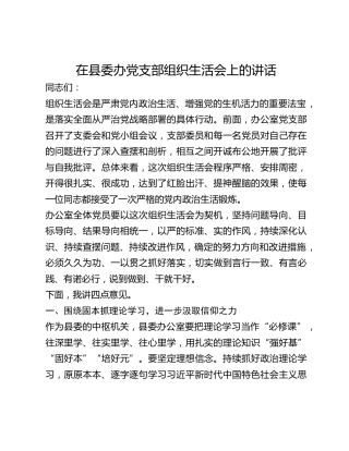 在县委办党支部组织生活会上的讲话