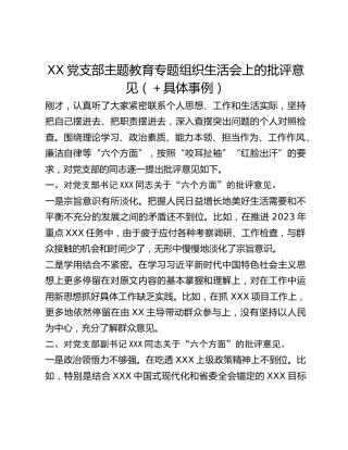 XX党支部主题教育专题组织生活会上的批评意见（具体事例）