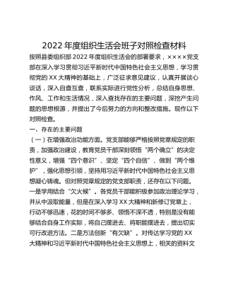 2022年度组织生活会班子对照检查材料(1)