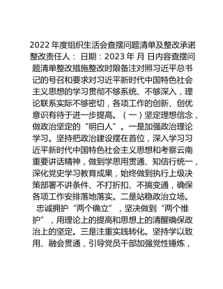 2022年度组织生活会查摆问题清单及整改承诺