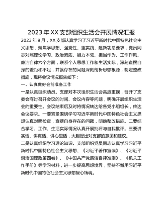 2023年XX支部组织生活会开展情况汇报