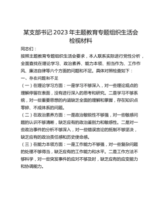 某支部书记2023年主题教育专题组织生活会检视材料