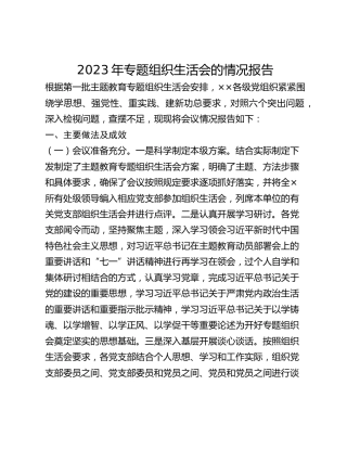 2023年专题组织生活会的情况报告(1)