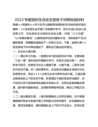 2023专题组织生活会支部班子对照检视材料(1)