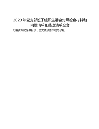 2023年党支部班子组织生活会对照检查材料和问题清单和整改清单全套