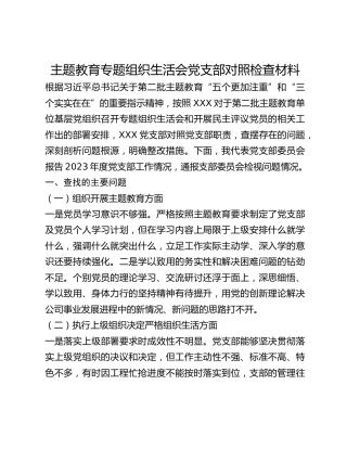 主题教育专题组织生活会党支部对照检查材料