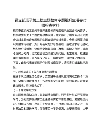 党支部班子第二批主题教育专题组织生活会对照检查材料