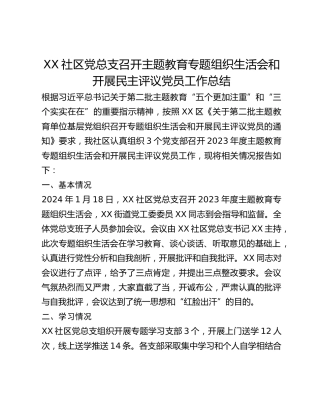 XX社区党总支召开主题教育专题组织生活会和开展民主评议党员工作总
