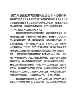 第二批主题教育专题组织生活会个人检视材料
