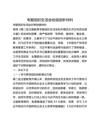专题组织生活会检视剖析材料