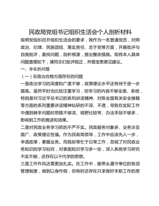民政局党组书记组织生活会个人剖析材料