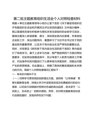 第二批主题教育组织生活会个人对照检查材料 (2)