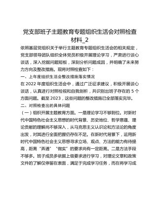 党支部班子主题教育专题组织生活会对照检查材料_2