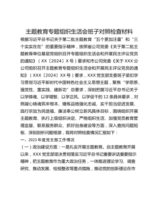 主题教育专题组织生活会班子对照检查材料 (2)