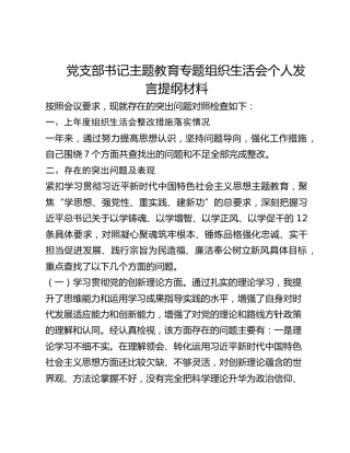 党支部书记主题教育专题组织生活会个人对照检查材料 (2)