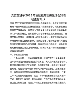 党支部班子2023年主题教育组织生活会对照检查材料_2