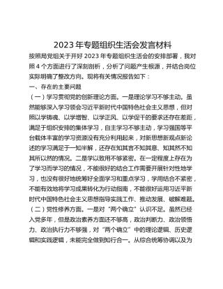 2023年专题组织生活会发言材料(1)