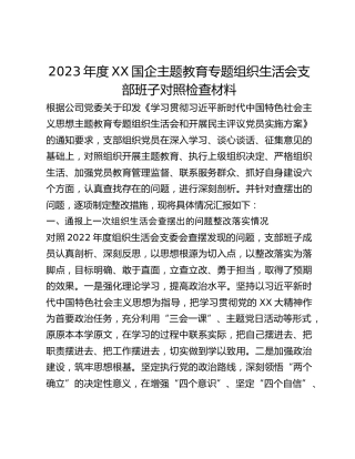 2023年度XX国企主题教育专题组织生活会支部班子对照检查材料
