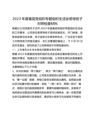 2023年度基层党组织专题组织生活会领导班子对照检查材料