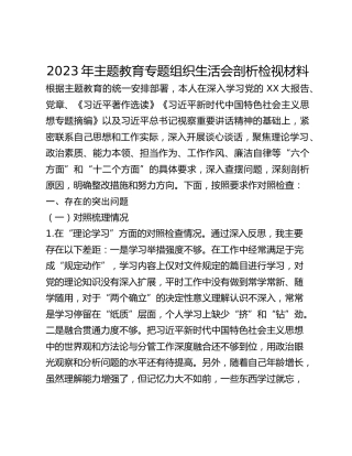 2023年主题教育专题组织生活会剖析检视材料