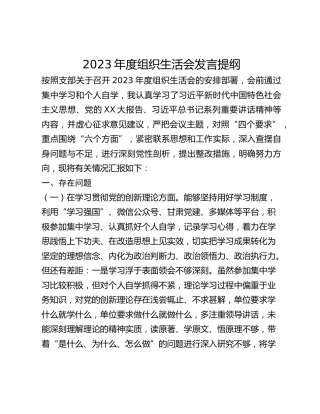 2023年度组织生活会发言提纲 (2)_2