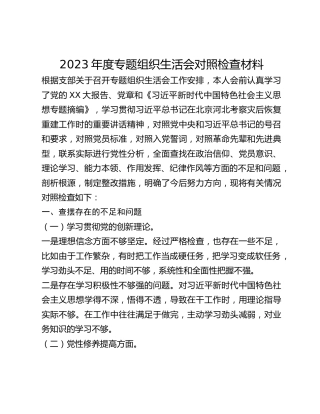 2023年度专题组织生活会对照检查材料
