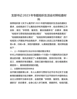支部书记2023年专题组织生活会对照检查材料 (2)