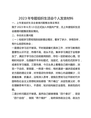 2023年专题组织生活会个人发言材料