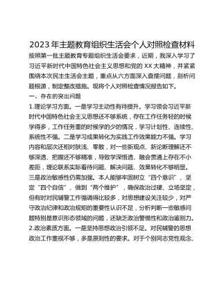 2023年主题教育组织生活会个人对照检查材料 (2)_2