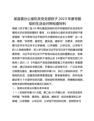 某县委办公室机关党支部班子2023年度专题组织生活会对照检查材料