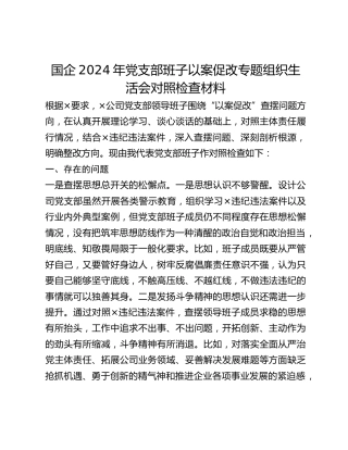 国企2024年党支部班子以案促改专题组织生活会对照检查材料 (2)