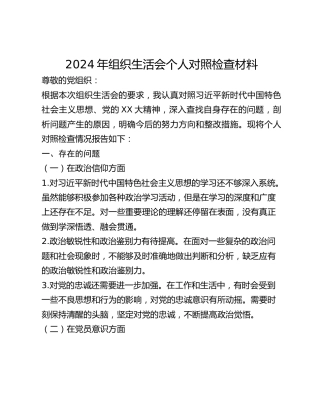 2024年组织生活会个人对照检查材料 (2)