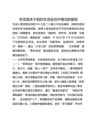 党支部关于组织生活会召开情况的报告(1)