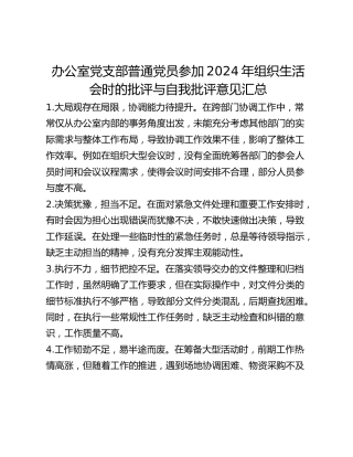 办公室党支部普通党员参加2024年组织生活会时的批评与自我批评意见汇总 (2)