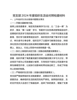 党支部2024年度组织生活会对照检查材料 (2)