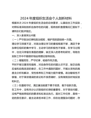 2024年度组织生活会个人剖析材料
