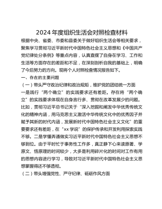 2024年度组织生活会对照检查材料 (2)_2