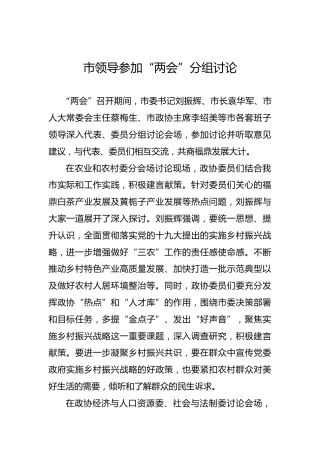 市领导参加“两会”分组讨论