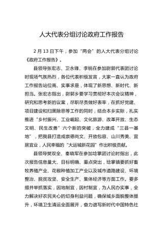 人大代表分组讨论政府工作报告