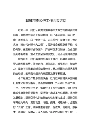 聊城市委经济工作会议讲话