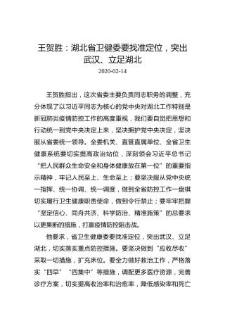 王贺胜：湖北省卫健委要找准定位，突出武汉、立足湖北