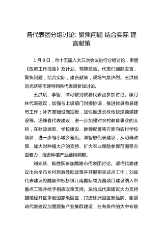 聚焦问题结合实际建言献策