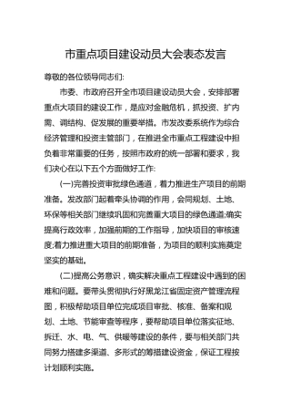 市重点项目建设动员大会表态发言