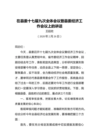 王廷佐：在县委十七届九次全体会议暨县委经济工作会议上的讲话