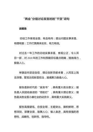 “两会”分组讨论发言时的“干货”词句