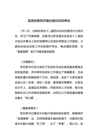 区政协委员开展分组讨论和审议