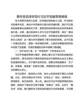 青年党员深学笃行习近平党建思想感悟