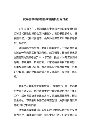 武平县领导参加县政协委员分组讨论