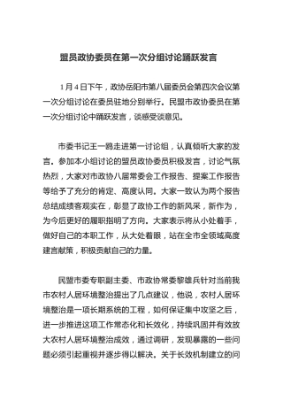 盟员政协委员在第一次分组讨论踊跃发言